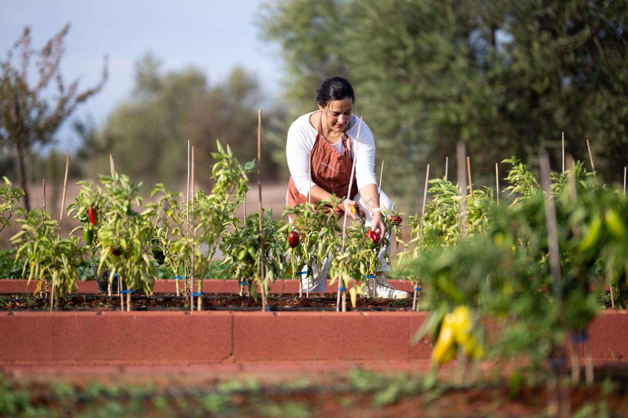 Eumelia Organic Agrotourism Farm Hotel Gouvai Ngoại thất bức ảnh